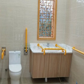 卫生间坐便器+洗手盆扶手组合图